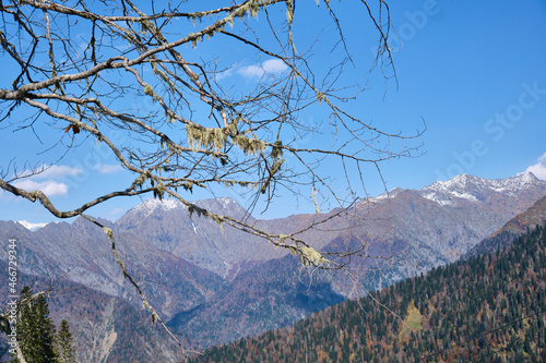 mountain lanscape