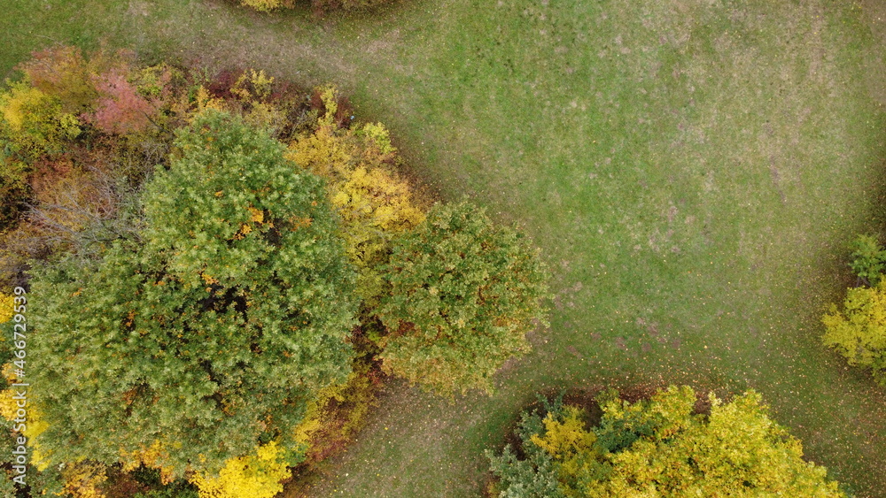 autumn in the park, shot from above autumn in the park, shot from above