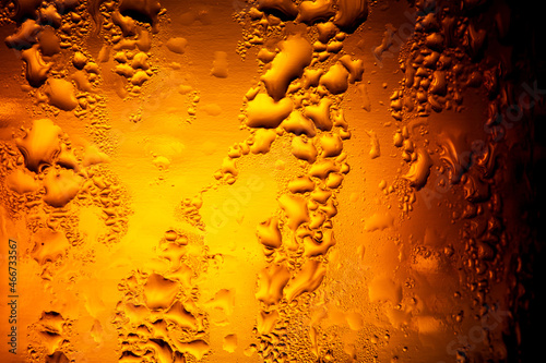 Several beer bottles with condensation,Close up of beer bottles,Italy, Venezuela, Beer - Alcohol, Bottle, Brewery,Swirling beer with dewdrops,Beer - Alcohol, Bubble, Textured Effect, Textured, Liquid,