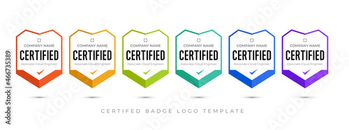 Set of company training badge certificates to determine based on criteria. Vector illustration certified logo design.