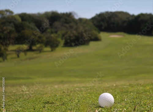 golf ball on green