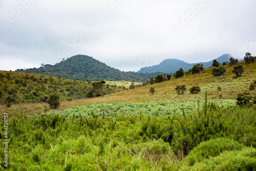 landscape in the mountains