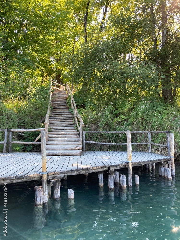 Obraz premium Wooden stairs among the trees next to the water
