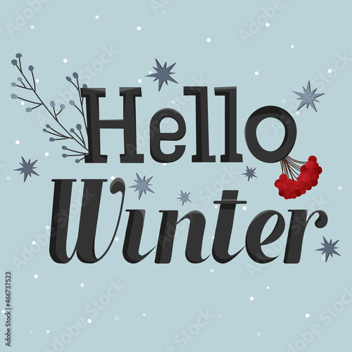 Hello winter phrase, december, january, february. Months, vector text decorated with rowan