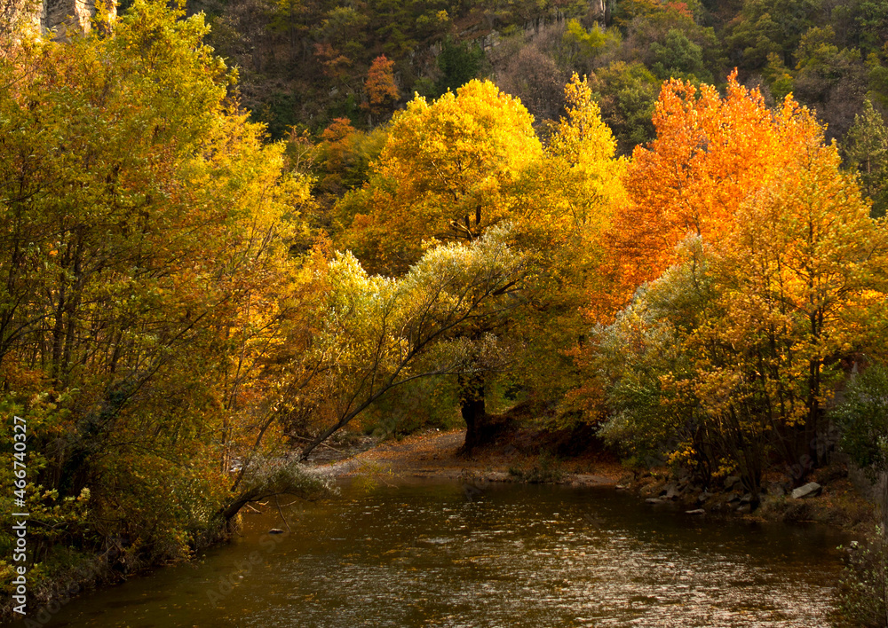autumn in the Rhodope Mountains Bulgaria_1