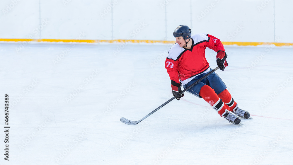 Obraz premium Professional ice hockey player on defending position on the rink. Image with copy space