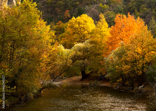 autumn in the Rhodope Mountains Bulgaria_1