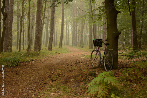 Rower w jesiennym lesie