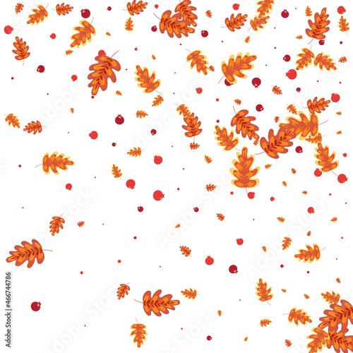 Yellow Oak Background White Vector. Acorn September Texture. Green Leaves. Image Design. Orange Leaf October.