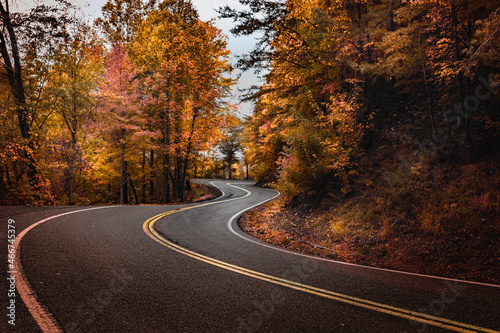 Winding Autumn Road