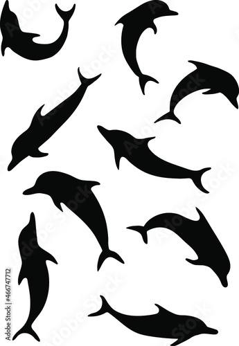 set of dolphins
