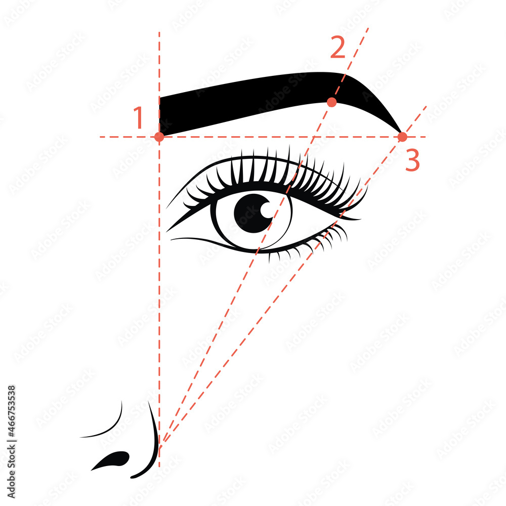 Part Of The Face With A Scheme Of Creating An Eyebrow How To Shape The