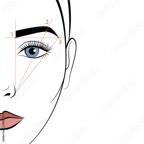 Half of the woman's face with an eyebrow scheme. How to properly pluck eyebrows.