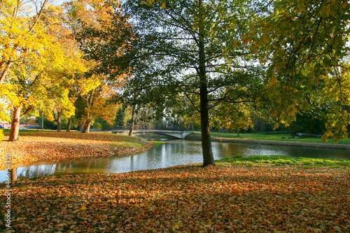 A Beautiful Autumn Scenery Captured on the Village Dolna Krupa, Trnava on Slovakia.