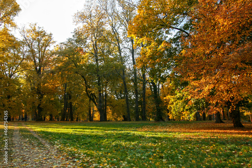 A Beautiful Autumn Scenery Captured on the Village Dolna Krupa, Trnava on Slovakia.