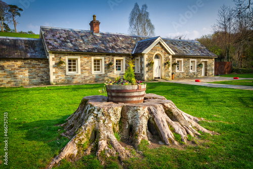 Traditional cottage house in Killarney National Park, Ireland photo