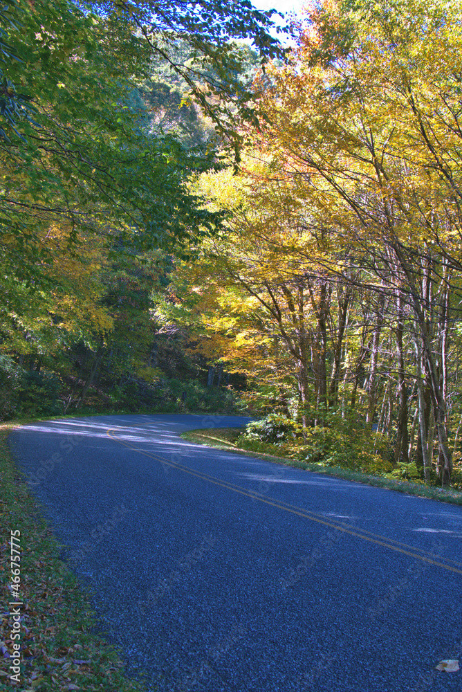 Fototapeta premium Fall Colors on the Blue River Parkway