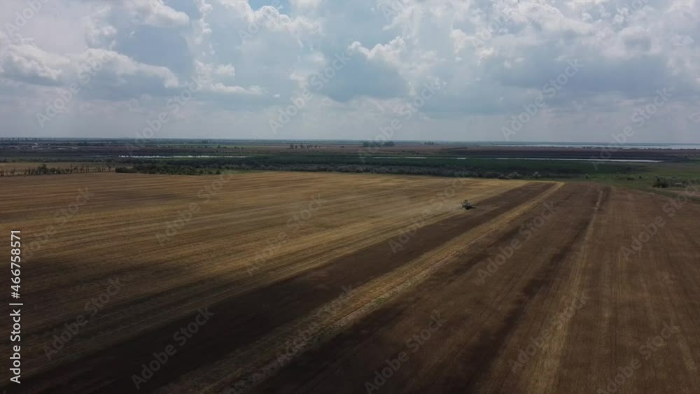 combine harvester harvests wheat in the field, video of drone movement in front combine harvester harvests wheat in the field, video of drone movement in front