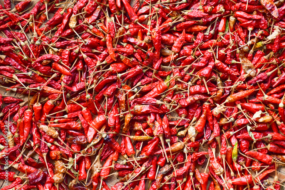 Fototapeta premium dried paprika