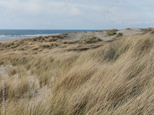 Fototapeta Naklejka Na Ścianę i Meble -  dunes