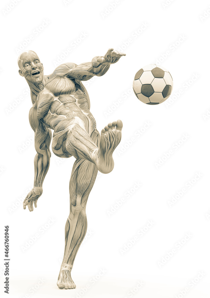 muscleman anatomy heroic body kicking the ball in white background muscleman anatomy heroic body kicking the ball in white background