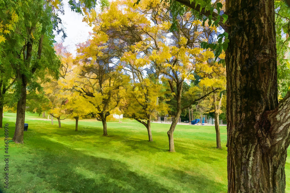 Autumn At Seattle Park Illustration