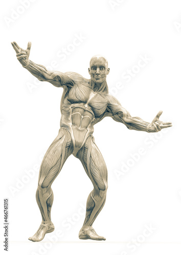 muscleman anatomy heroic body dancing pose two in white background © DM7