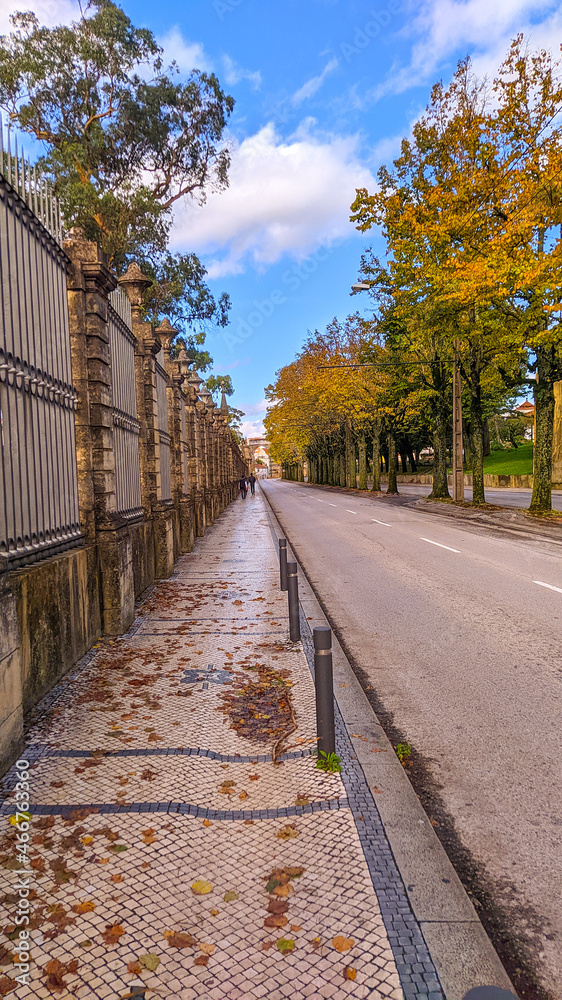 Rua do Jardim bôtanico da Universidade de Coimbra