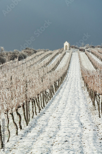 Calvary near Hnanice, Znojmo region, Southern Moravia, Czech Republic photo