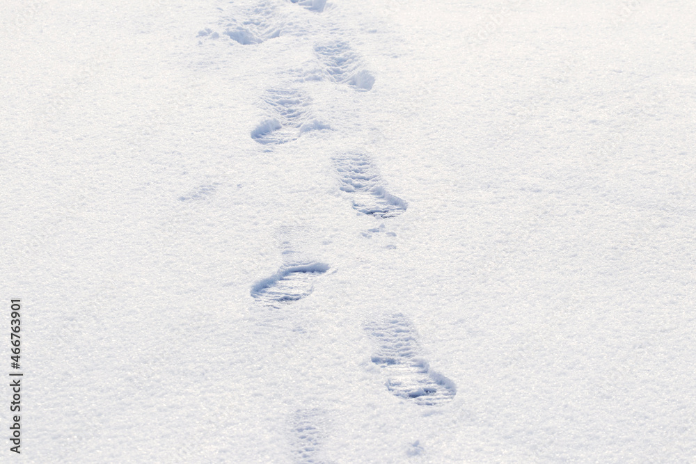 Footprints of a man on white snow in winter, winter background Footprints of a man on white snow in winter, winter background
