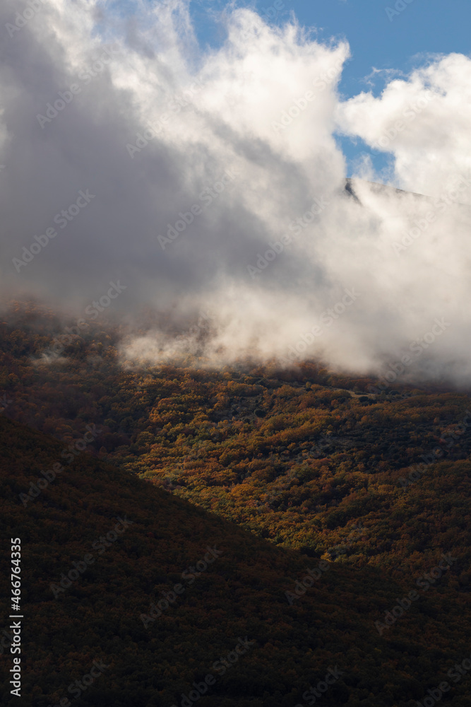 Landscape of trees, clouds and mountains, beech trees and wild pines, numbed by autumn, in the Moncayo Natural Park, Zaragoza, Aragon, Spain