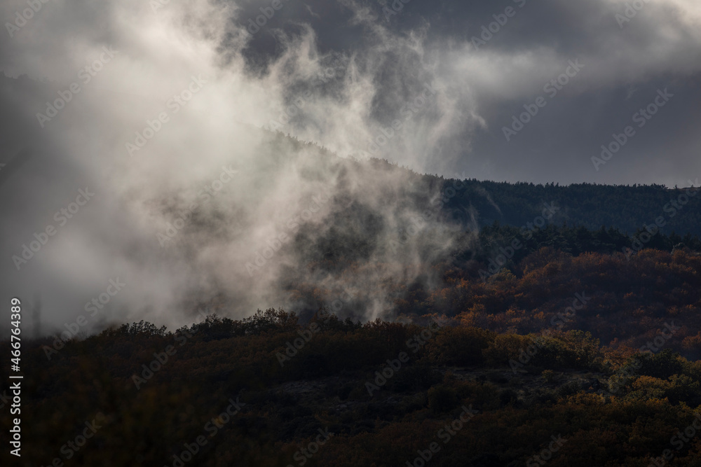 Landscape of trees, clouds and mountains, beech trees and wild pines, numbed by autumn, in the Moncayo Natural Park, Zaragoza, Aragon, Spain