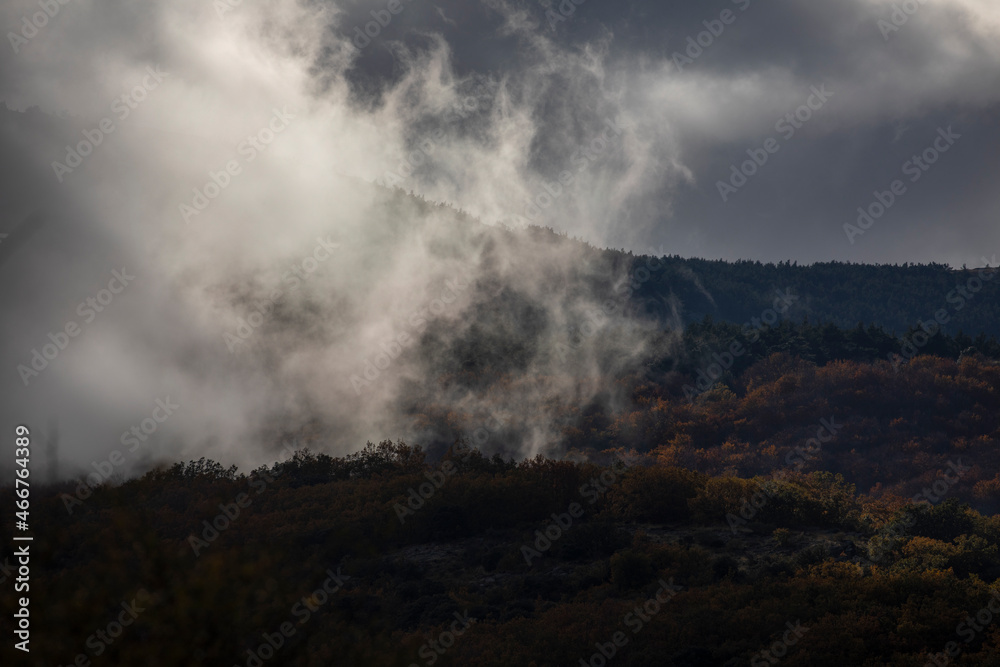 Landscape of trees, clouds and mountains, beech trees and wild pines, numbed by autumn, in the Moncayo Natural Park, Zaragoza, Aragon, Spain Landscape of trees, clouds and mountains, beech trees and wild pines, numbed by autumn, in the Moncayo Natural Park, Zaragoza, Aragon, Spain
