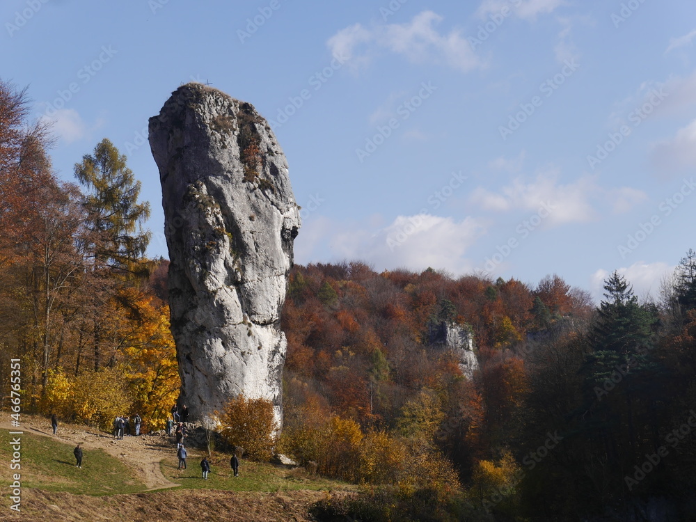 Jura Krakowsko-Częstochowska w jesiennych kolorach Jura Krakowsko-Częstochowska w jesiennych kolorach