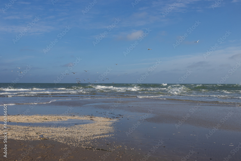 Nordsee und Ostsee prallen aufeinander, Grenen, Skagen, Nordjütland, Dänemark