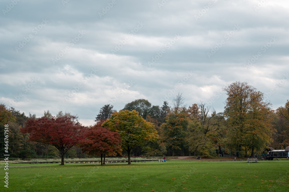 Landscape shot of a park in the afternoon. Autumn colors and cloudy sky.