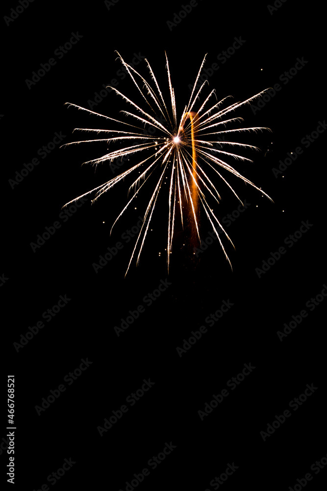 fireworks in the night sky fireworks in the night sky