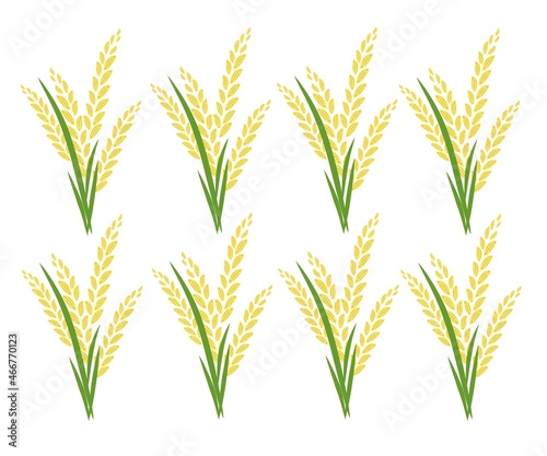 Rice plant logo. grain icon. rice plant vector. Vector design illustration.