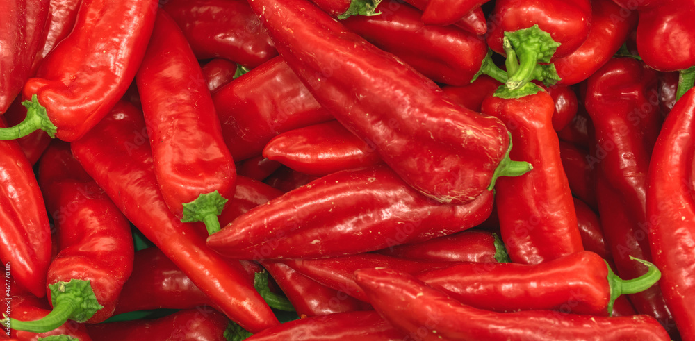 A lot of red hot chili peppers, texture background. Pile of fresh ripe chili peppers pattern, high quality photo