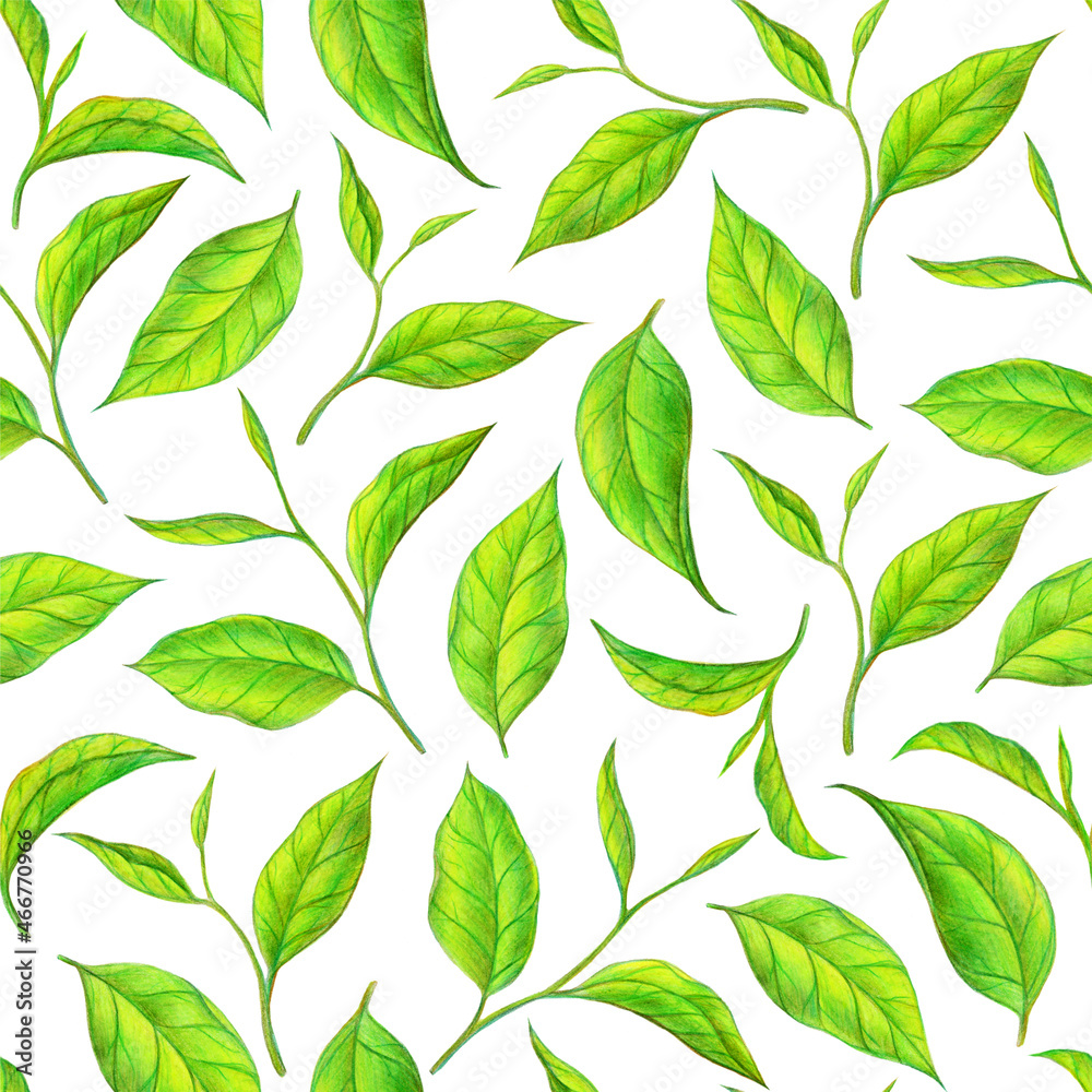 Tea leaf seamless pattern. Hand drawn illustration. Design for vintage packaging. Color sketch. Colored pencil drawing. Tea leaf seamless pattern. Hand drawn illustration. Design for vintage packaging. Color sketch. Colored pencil drawing.