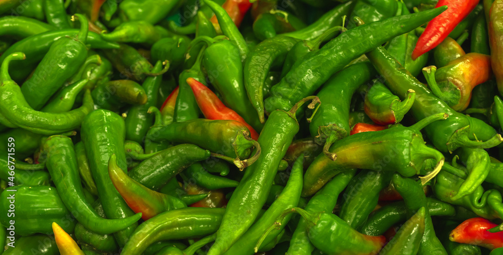 A lot of hot chili peppers, texture background. Pile of fresh ripe green chili peppers pattern, high quality photo A lot of hot chili peppers, texture background. Pile of fresh ripe green chili peppers pattern, high quality photo
