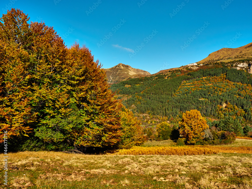 Fototapeta premium Otoño en Izaba Isaba