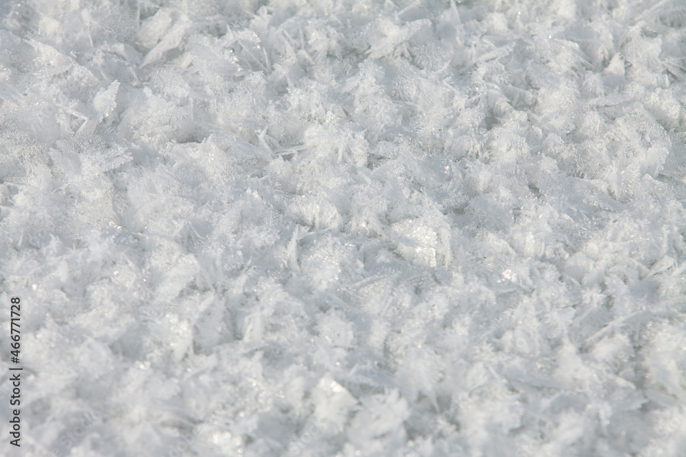 Snow background. Large snowflakes. Snow crystals.Frozen large snowflakes for texture. Snow background. Large snowflakes. Snow crystals.Frozen large snowflakes for texture.