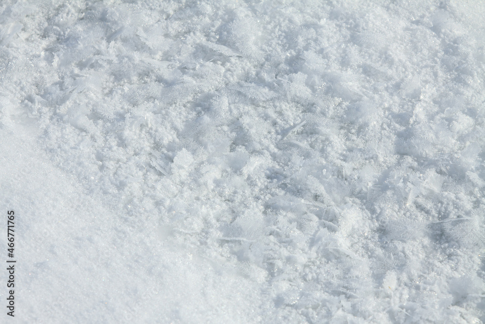 Snow background. Large snowflakes. Snow crystals.Frozen large snowflakes for texture. 