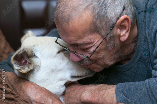A mature man owner hugs his white dog. Close-up portrait. High quality photo