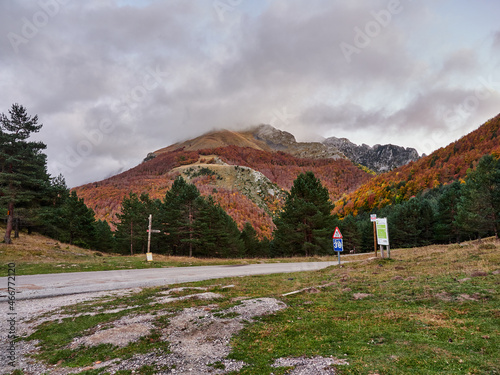 Otoño en Izaba Isaba photo