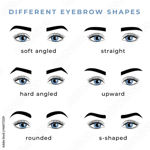 Set of different eyebrow shapes.