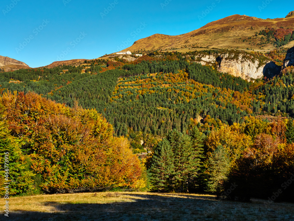 Selva de Irati en otoño con vista al monte  Lakartxela
