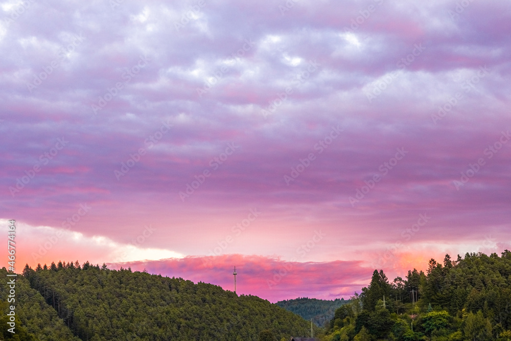 Obraz premium Abendrot im Wald