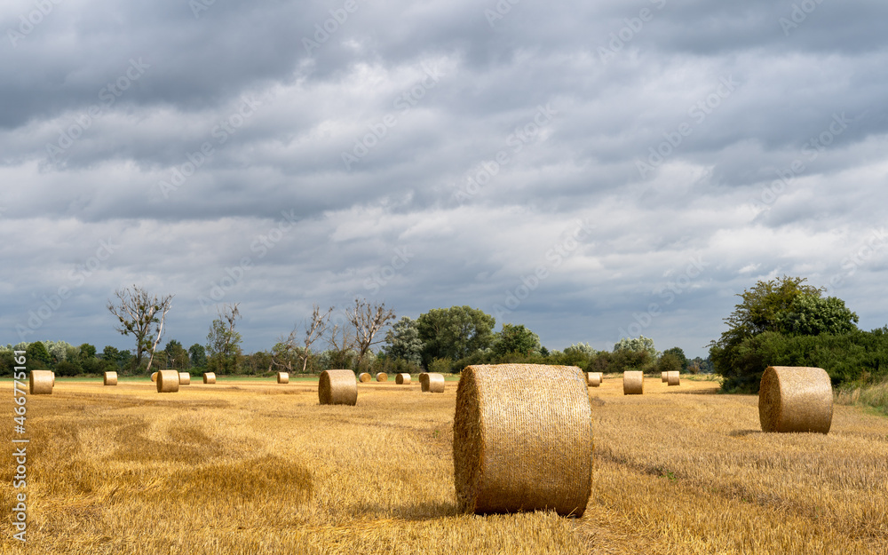 hay bales in the field, Wittenberge, Germany